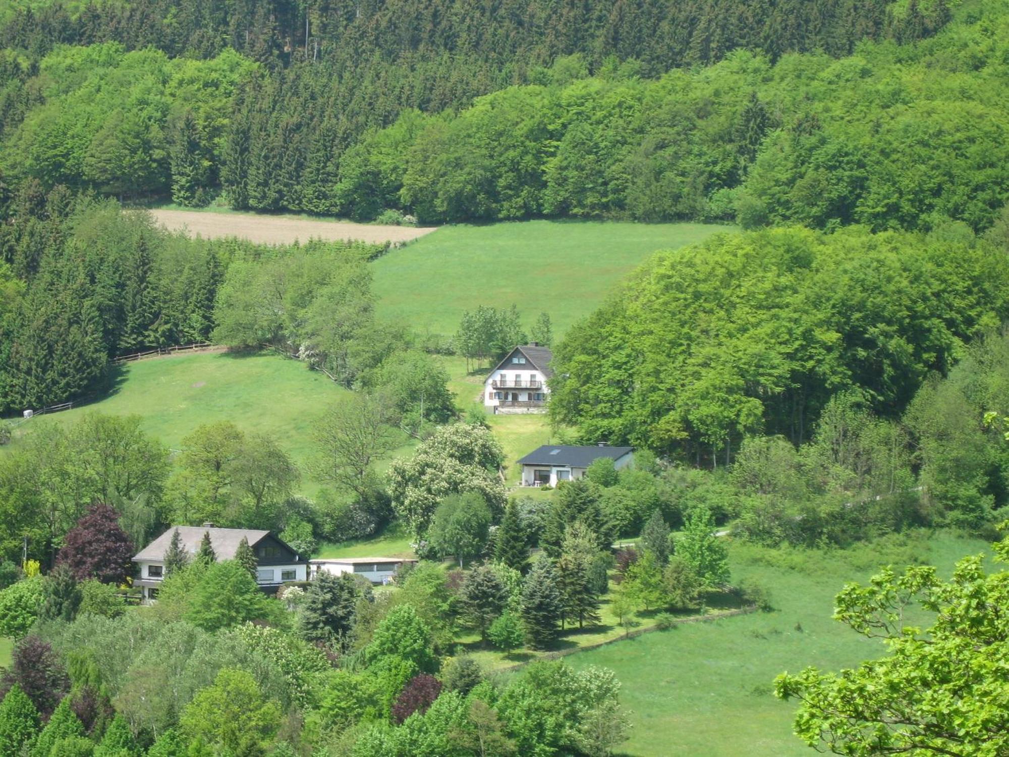 Nice Holiday Home Near Ski Area Medebach Luaran gambar